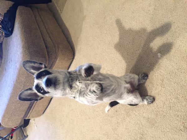/Images/uploads/Humane Society of Utah/HSUCalendar/entries/982thumb.jpg